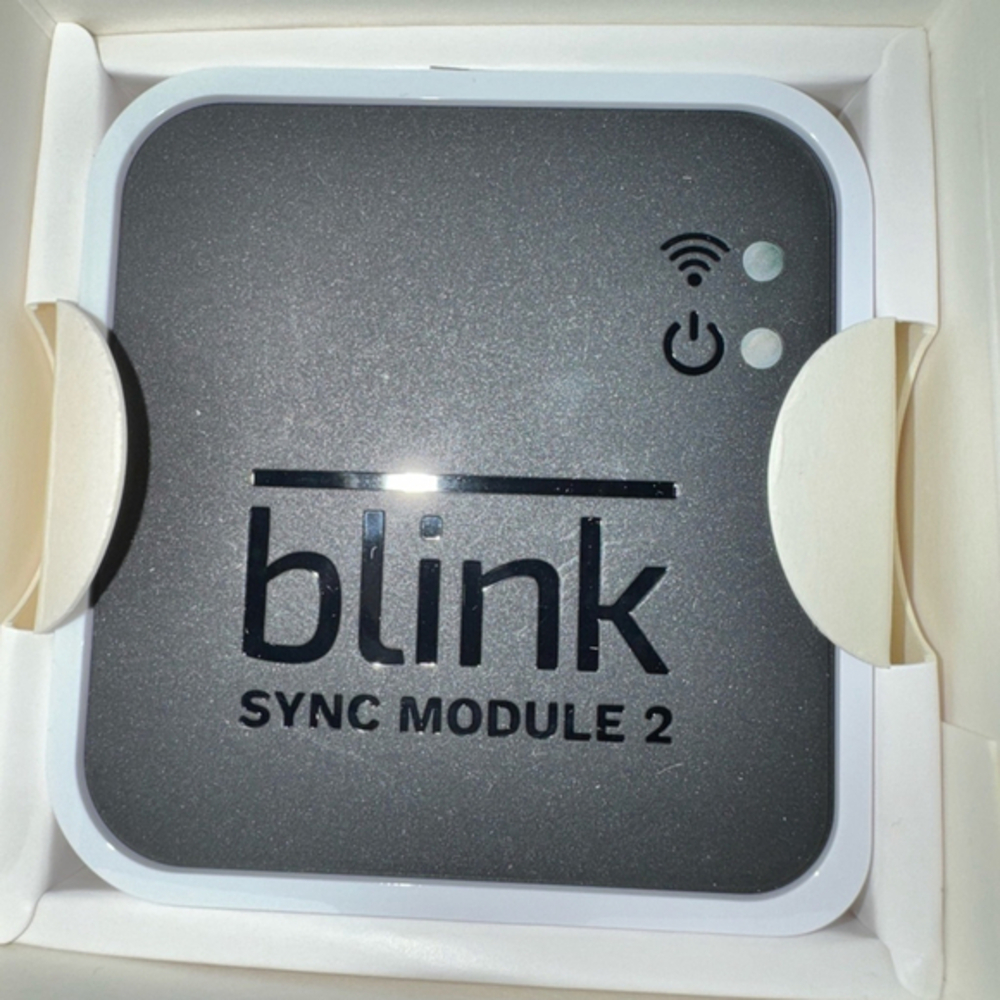 Blink Module 2 Model BSM00401U